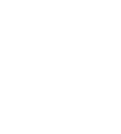Footer Brand Logo